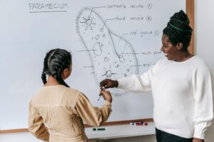 How to choose the right tutor - Brains and Butter